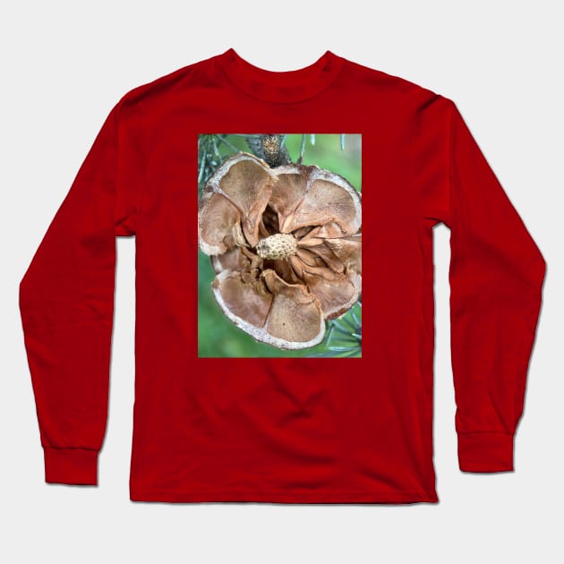 Faded picea cone Long Sleeve T-Shirt by Xingu&Florea